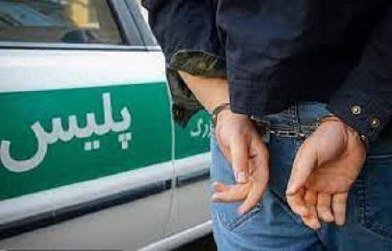کشف ۲۳۹ دستگاه وسیله نقلیه مسروقه در استان