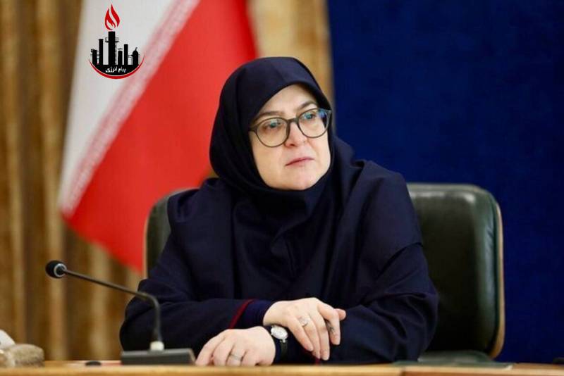 متنوع‌سازی سبد انرژی از اولویت‌های دولت است